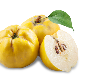 Autumn | Seasonal Ingredients | What's Good Now at Seasons 52