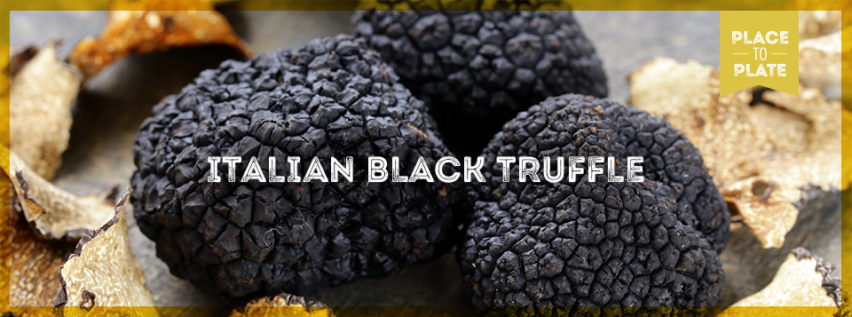 Italian black truffles