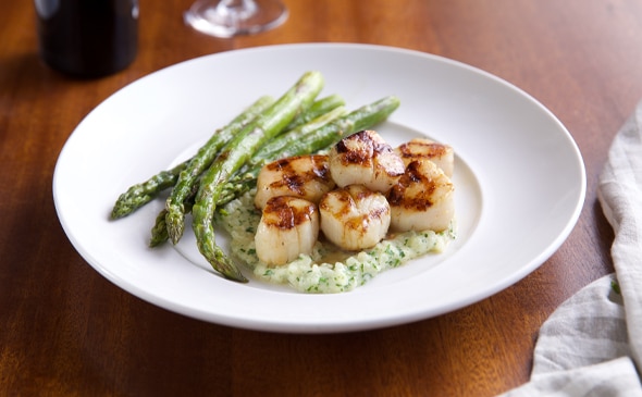 CARAMELIZED GRILLED SEA SCALLOPS