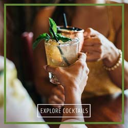Explore Cocktails