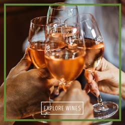 Explore Wines