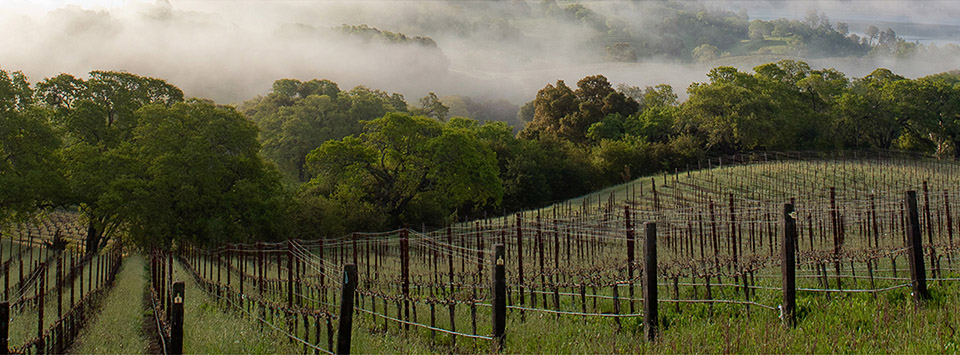 California Russian River Valley wineries