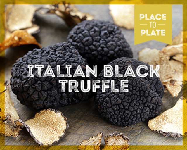Italian black truffle