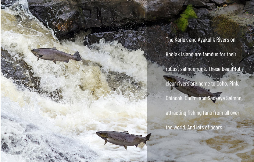 Kodiak Island