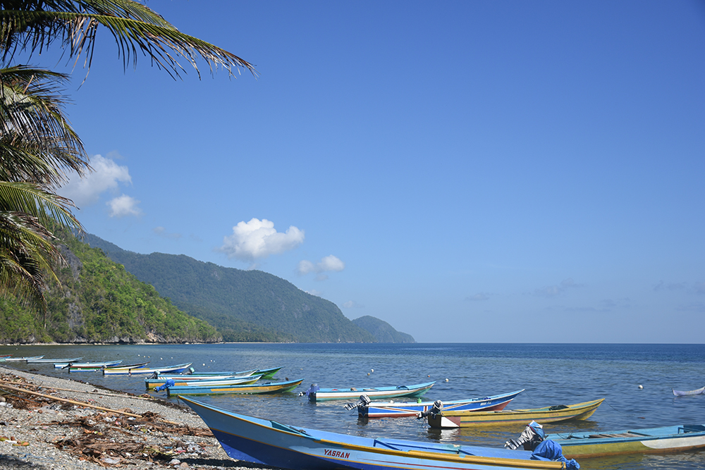 Handline fishing boats ready for the day