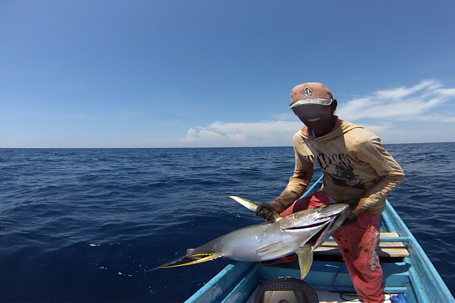 One man pulling in one tuna on a boat