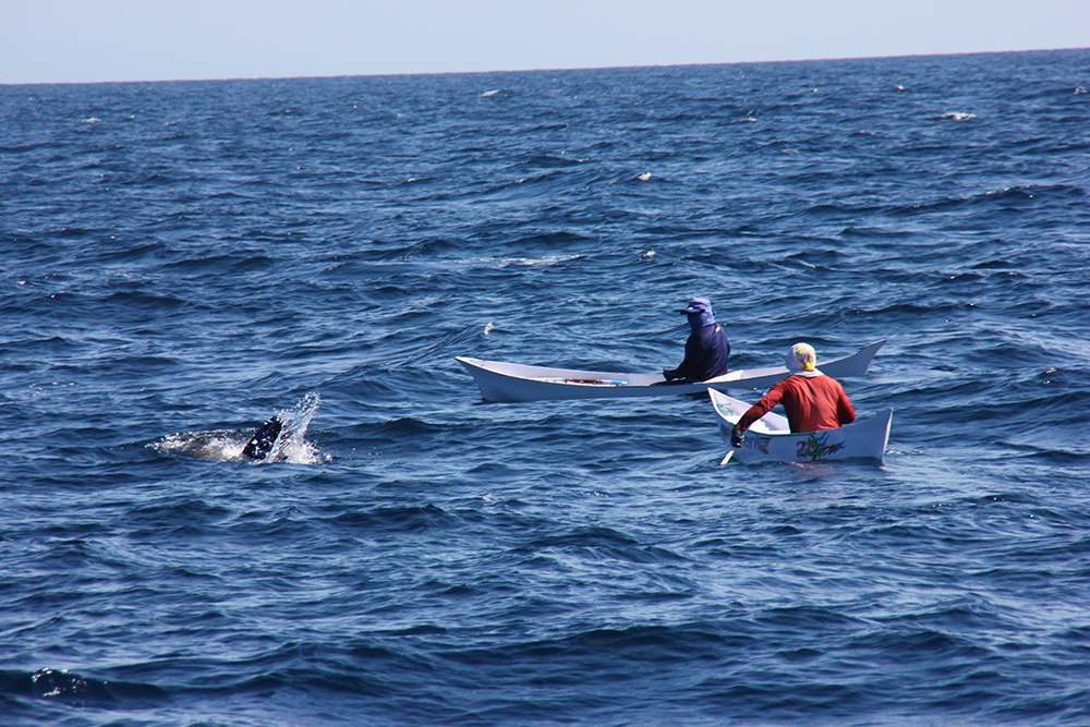 Two fishermen handline fishing for tuna
