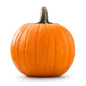 Pumpkin