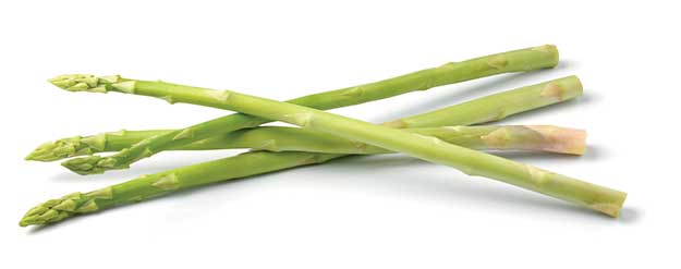 Asparagus