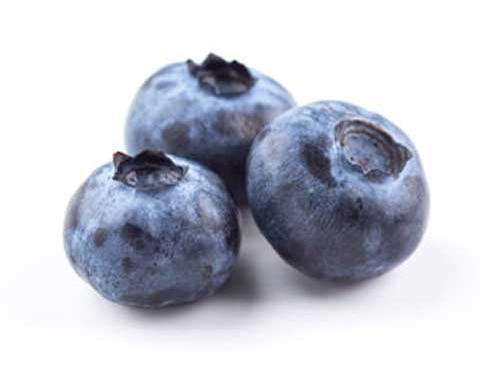 Fresh Blueberries