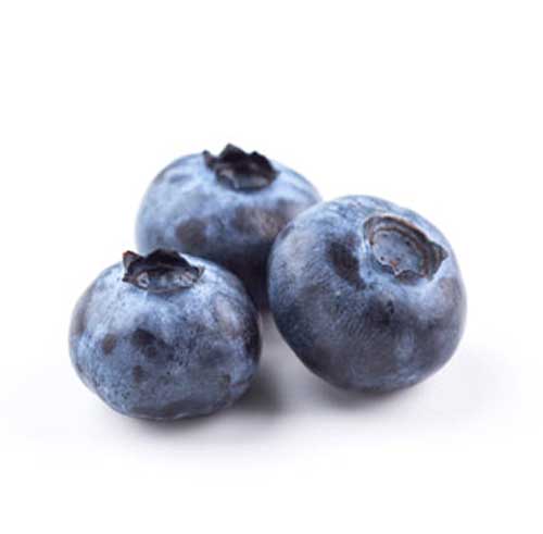 Fresh Blueberries