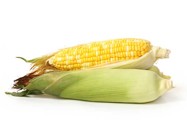 Sweet Corn