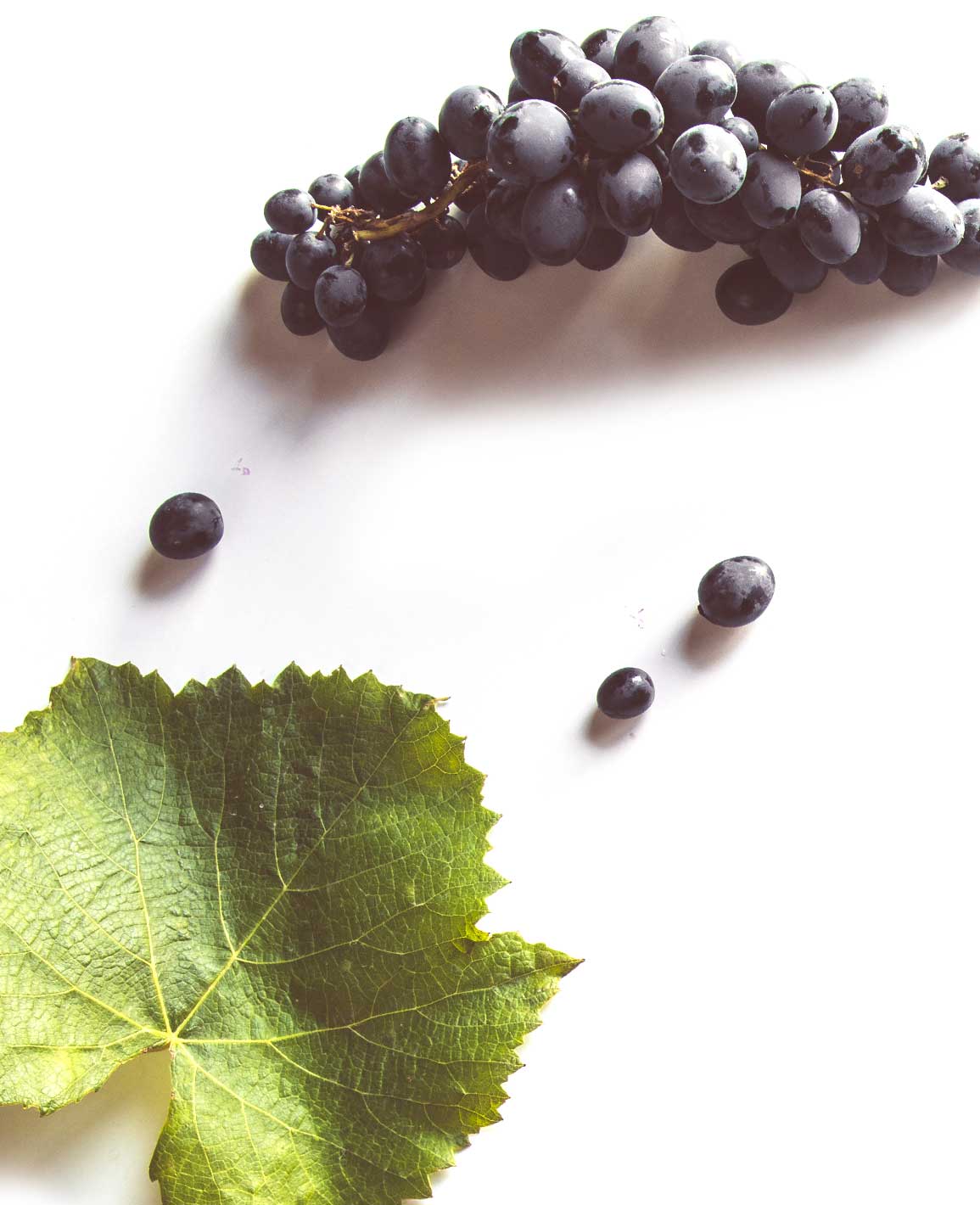 Grapes and leaf